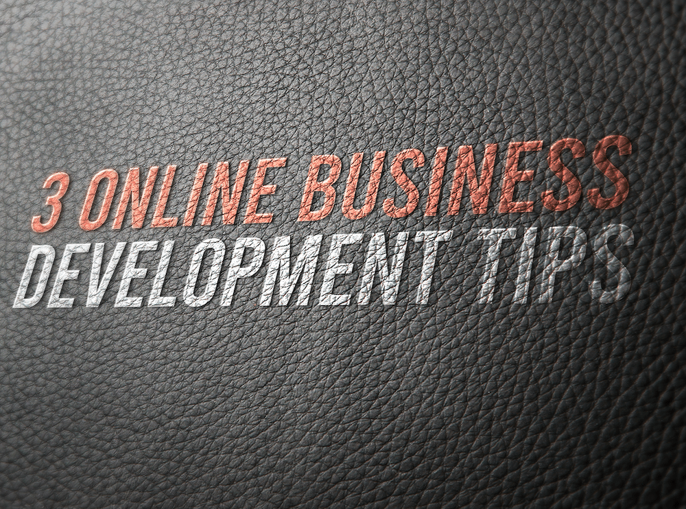 3 Online Business Development Tips